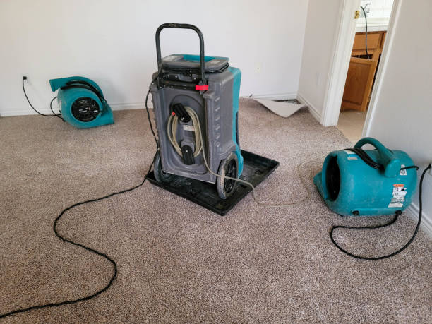 Best Commercial water damage restoration  in Buna, TX