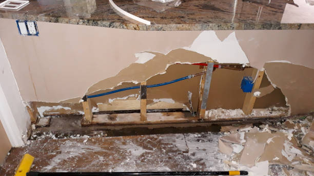 Best Water damage restoration mold remediation  in Buna, TX