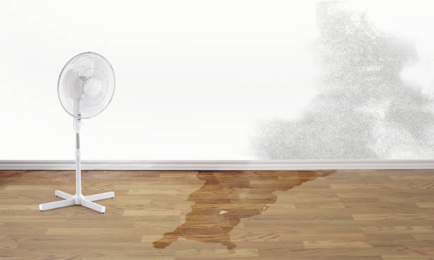 Best Local water damage restoration  in Buna, TX