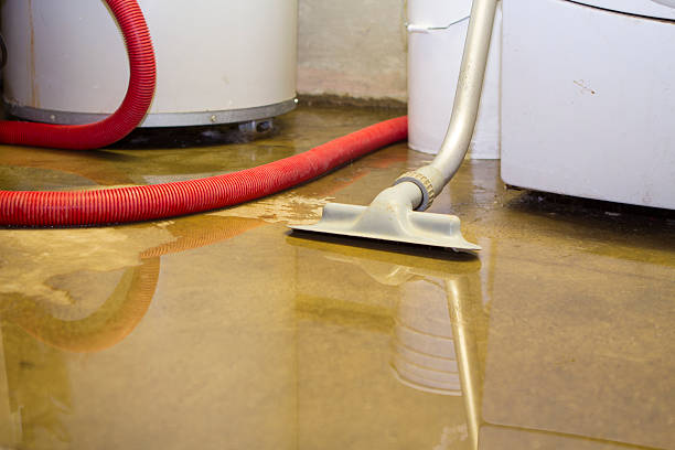 Best Fire Damage Restoration  in Buna, TX