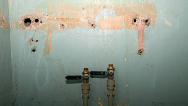 Best Mold removal after water damage  in Buna, TX
