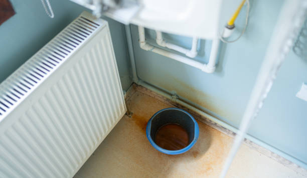 Best Ceiling water damage repair  in Buna, TX