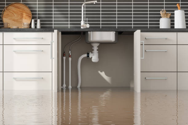 Best Flood restoration services  in Buna, TX